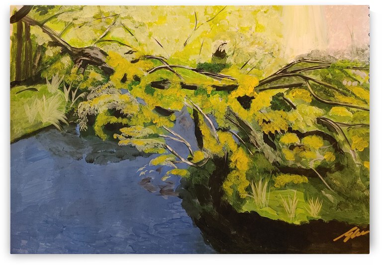 THE BROKEN BRANCH OF A TREE by Elizabeth Lee Adeghe