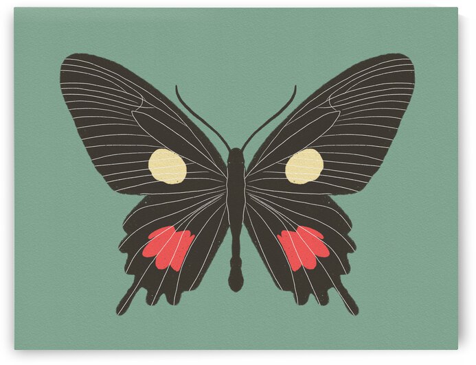 butterfly by Jolene Cornett