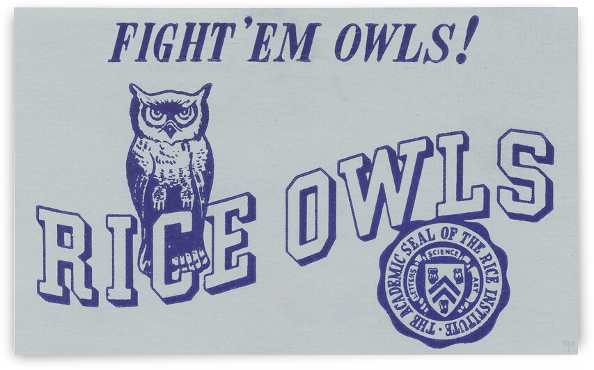 Vintage Rice Owls Art by Row One Brand