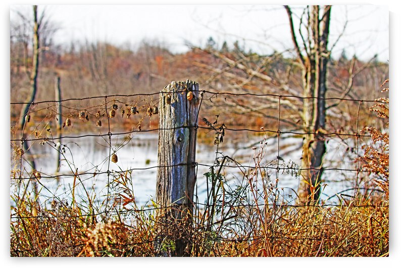 Autumn Landscape Decor by Deb Oppermann
