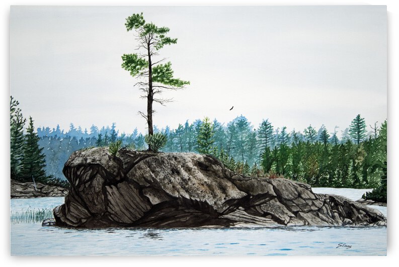 White Pine Island by Stephen Emms