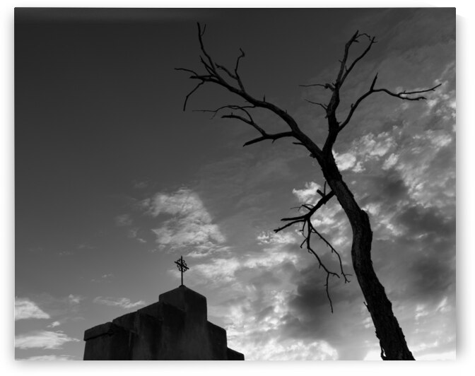 Life and Death by Alejandro Lalinde
