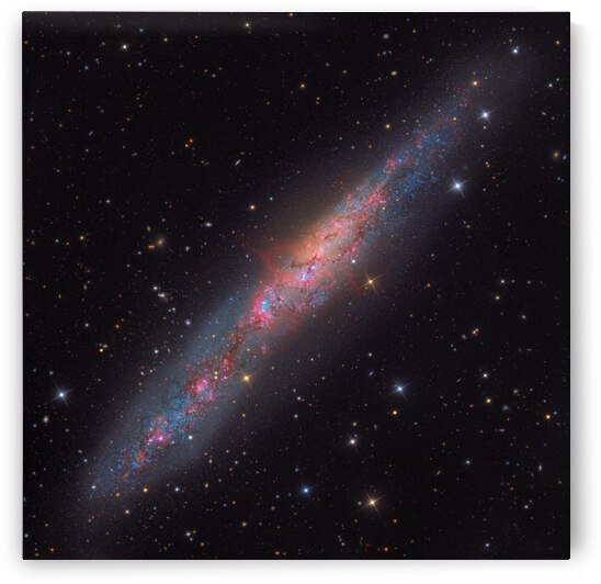 The Whale Galaxy by Hanson Astronomy Photos