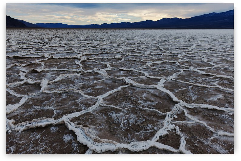Salt Flats at Sunset by Alejandro Lalinde