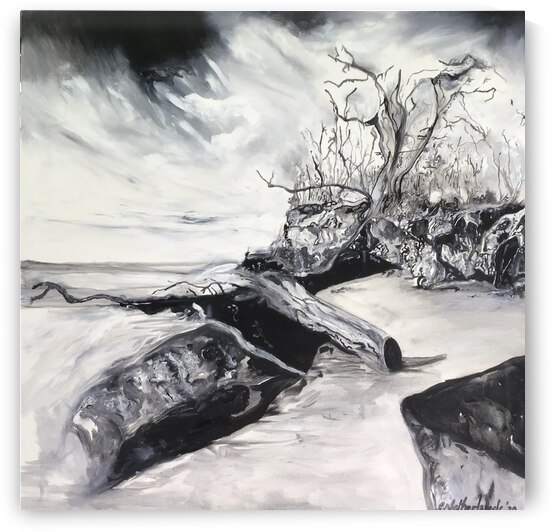 Desolate by Grant Netherlands