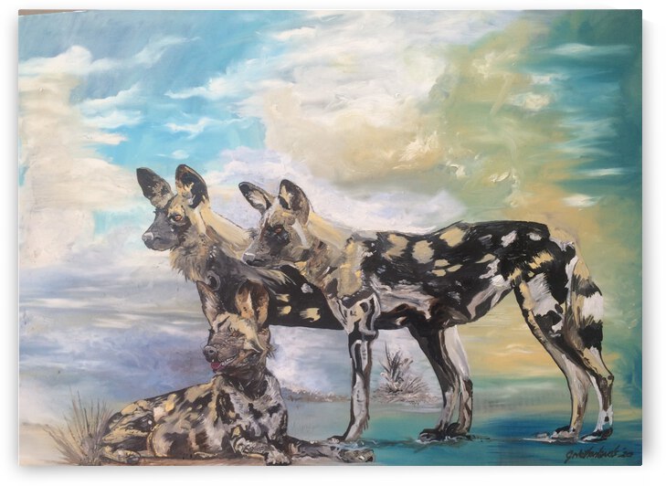 Wild Dogs by Grant Netherlands