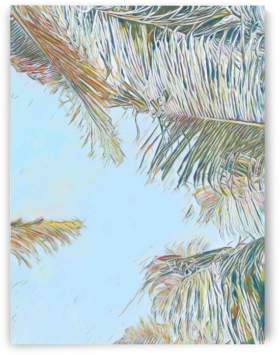 coconut tree by Sibcod