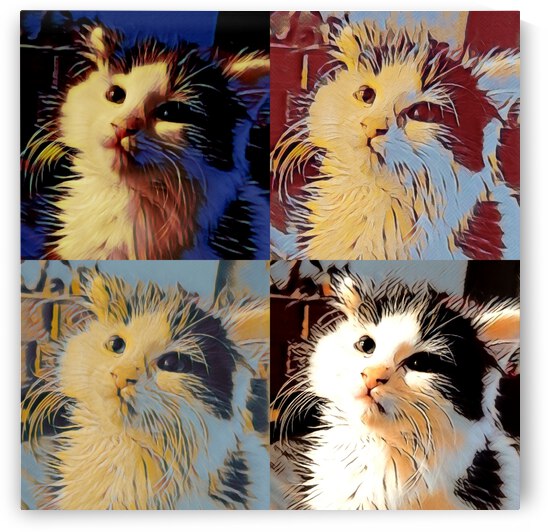 Famous Harvey by The NC Geek