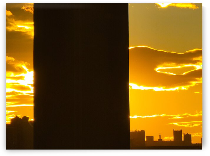 HALLOWEEN IN THE BRONX