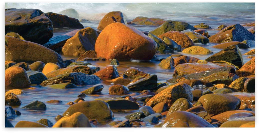 Morning Gold - Seascape and waves from Lunenburg Nova-Scotia by Daniel Baril