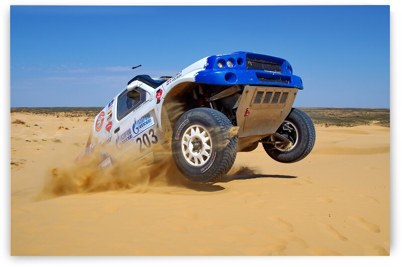 KING OF DESERT by 1x