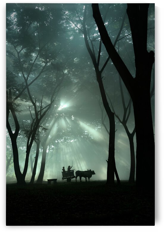 oxcart silhouette by 1x