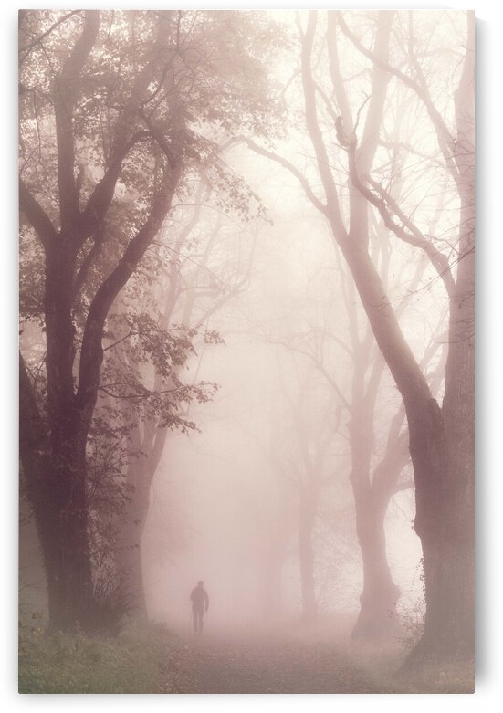 Early morning walk by 1x