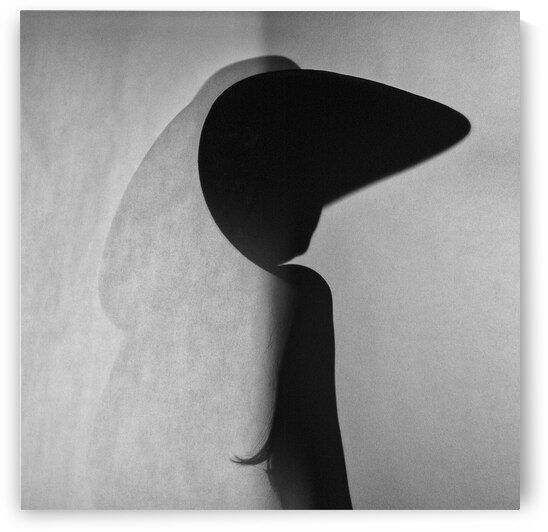 Chinese paper theater by 1x