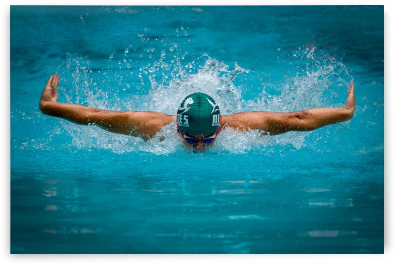 Flying Dolphin by 1x