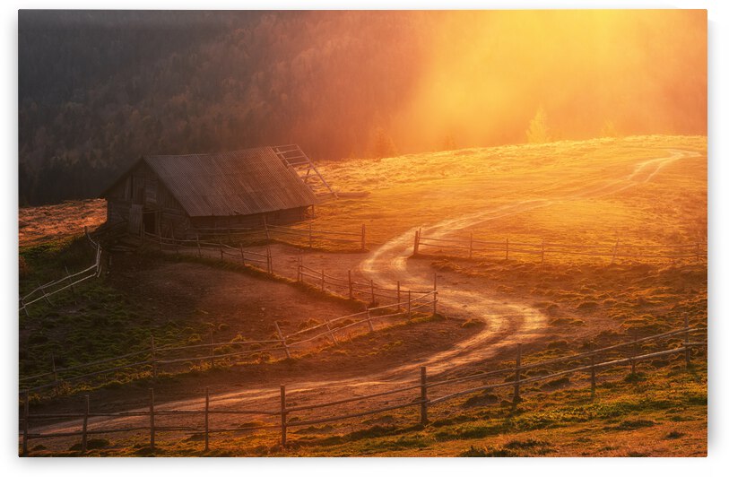 House of the Rising Sun by 1x