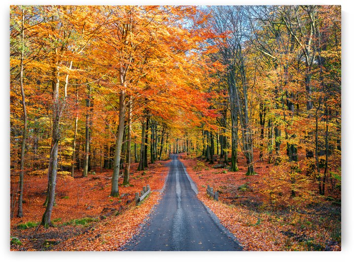 Road into autumn by 1x