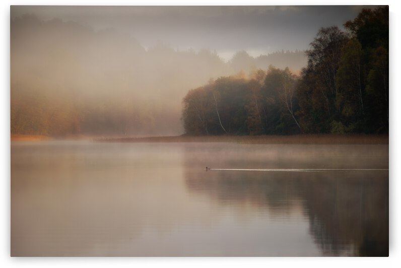 The morning's first swim turn by 1x