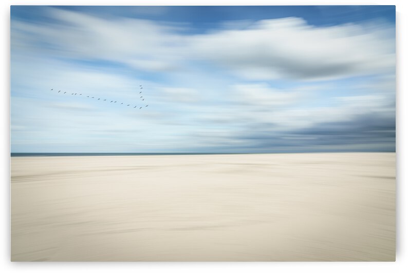 birds at the seaside by 1x