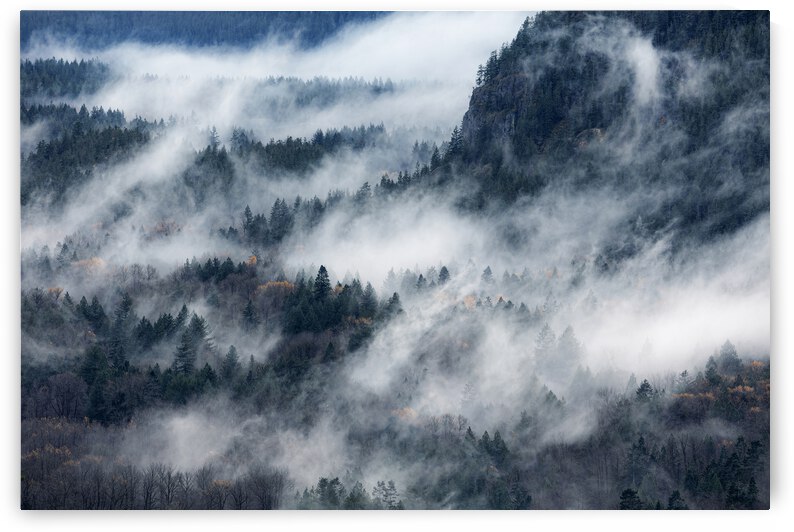 A valley in the fog by 1x