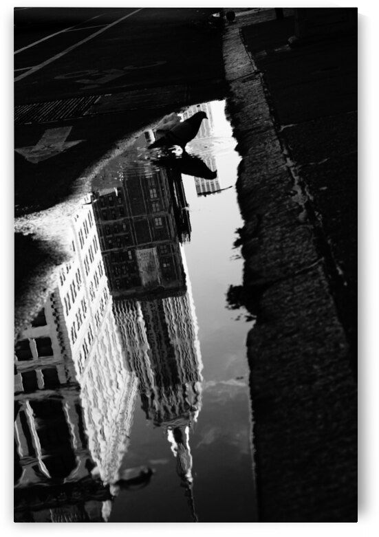 EMPIRE STATE OF MIND