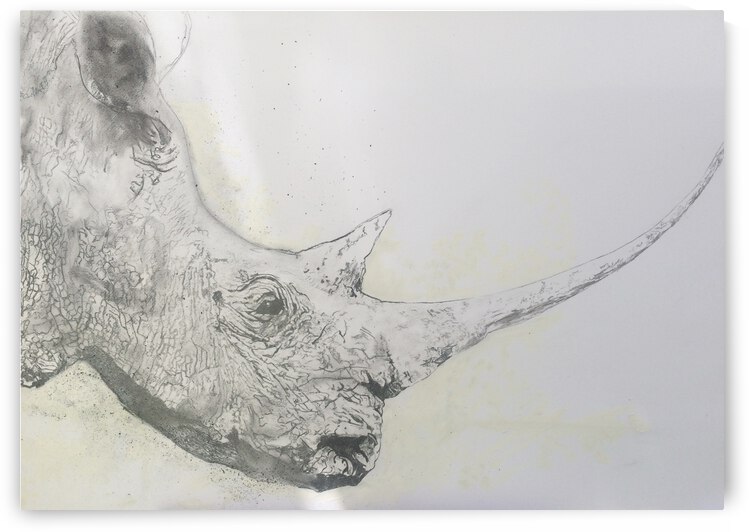 Save the Rhino by Grant Netherlands