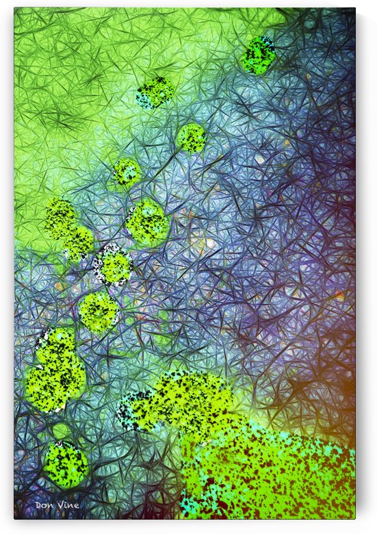 Green Paint Drops_120828_17039 HXSYV by Don Vine