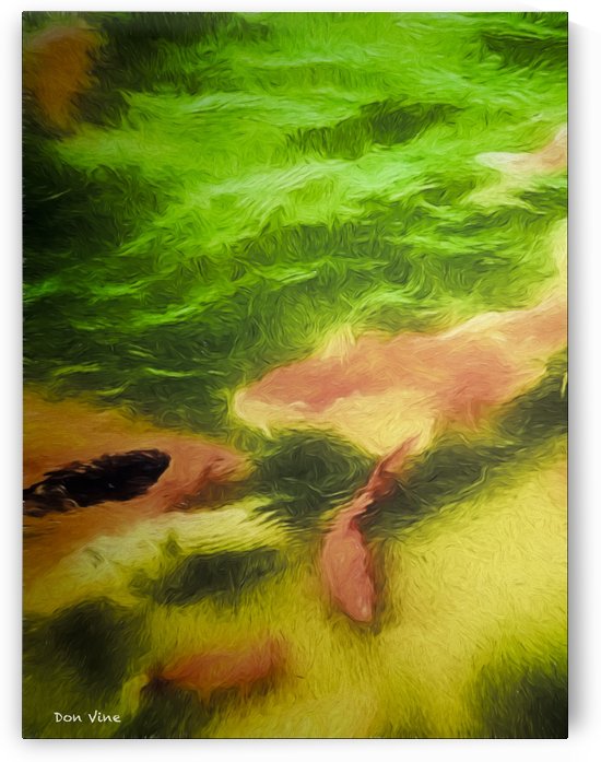 Koi Imagined_150502_1244_08152 HXSYV by Don Vine