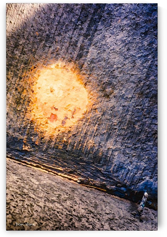 Splash of Yellow_130208_09_011 HXSYV by Don Vine