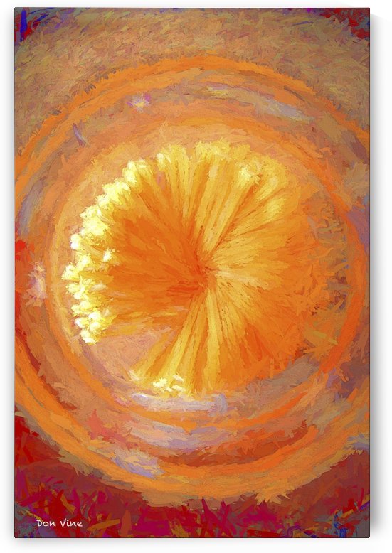 Pastar_140902_13094 HXSYV by Don Vine