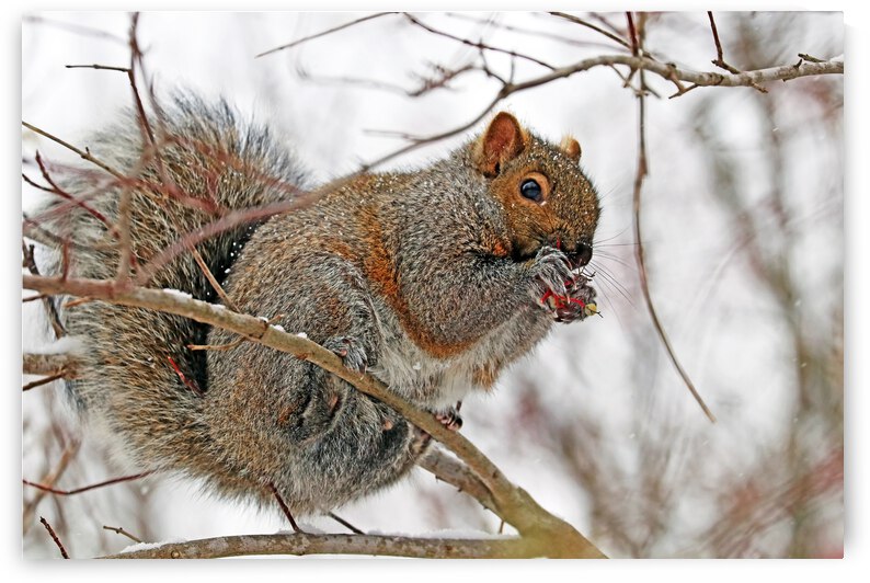 Good Eating by Deb Oppermann