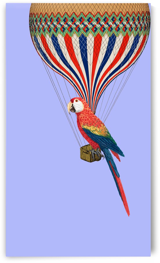 Parrot by Cathleen Klibanoff