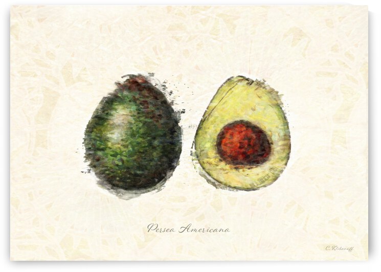 Avocado by Cathleen Klibanoff