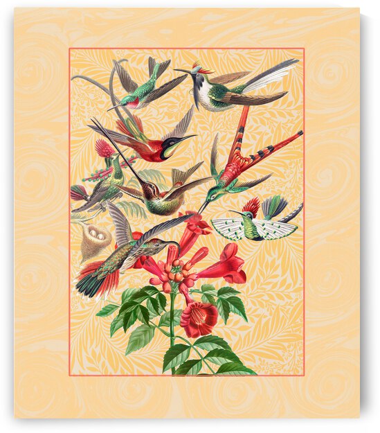 Hummingbird Frenzy by Cathleen Klibanoff