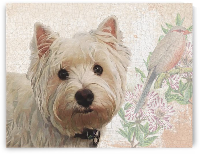 Westie by Cathleen Klibanoff