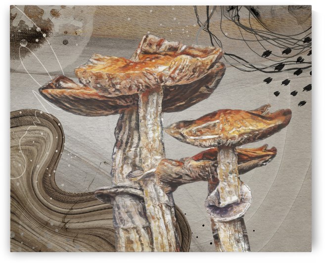 Magic Mushroom by Cathleen Klibanoff