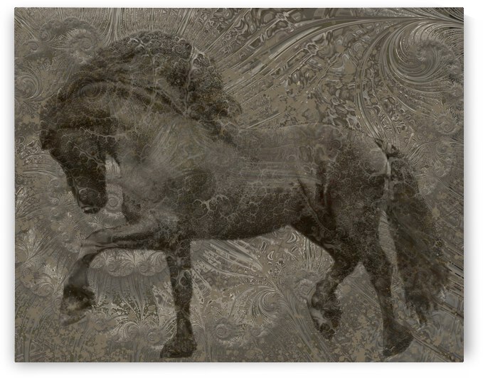 Dissolving Stallion  by Cathleen Klibanoff
