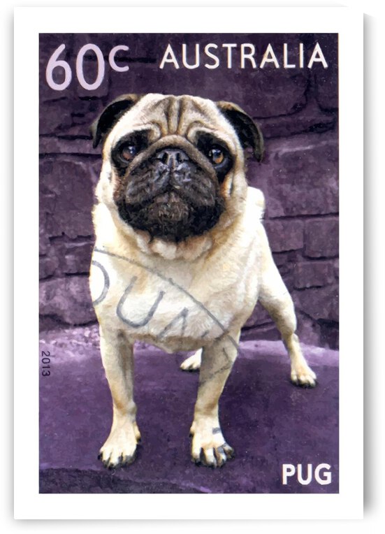 2013 AUSTRALIA Pug Dog Postage Stamp by Retrographics