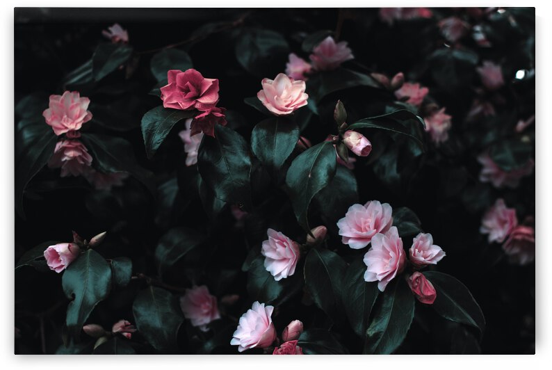 Hug my soul by Chatz Schwab