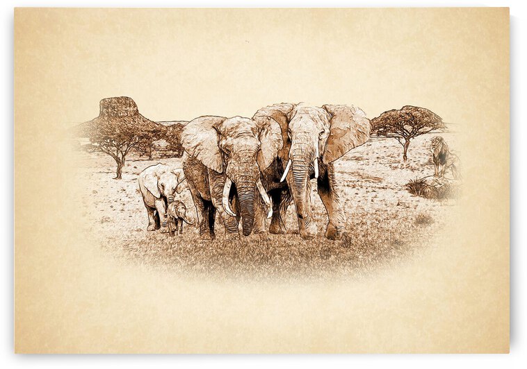 Elephants african animals elephant by Radiy Bohem