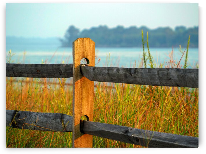 A Non-Political Post - A Fence Post by Bill Swartwout Photography