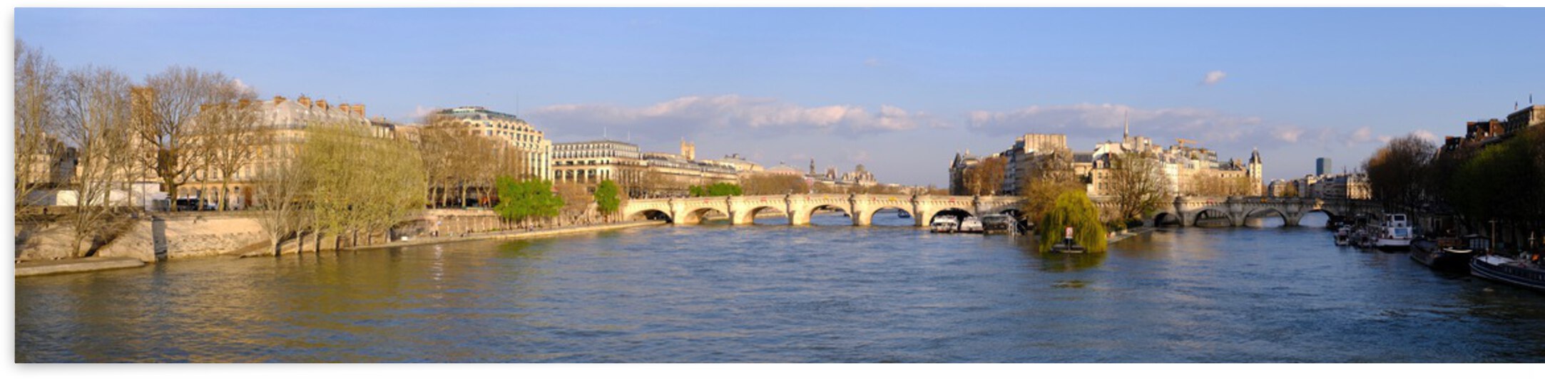 Pont Neuf by Bill Osuch