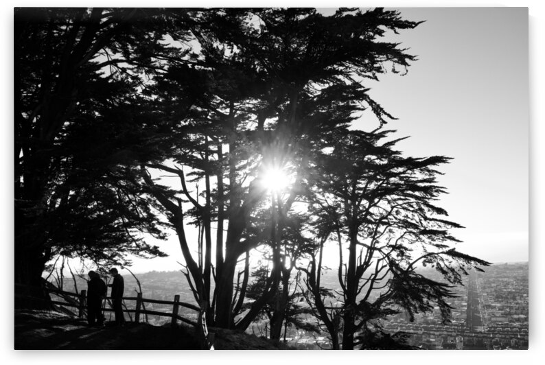 Evening at Tank Hill by Bill Osuch