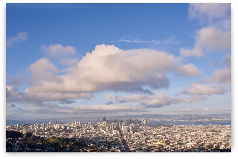 San Francisco Skyline by Bill Osuch