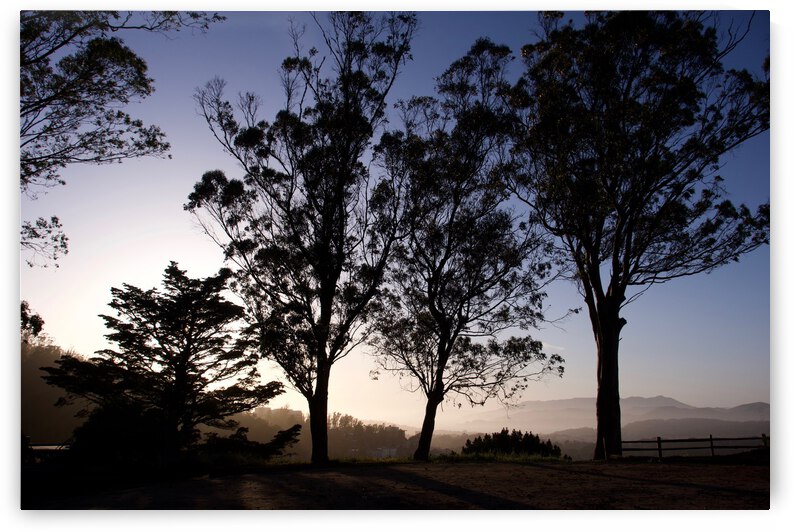 Sunset at Tank Hill II by Bill Osuch