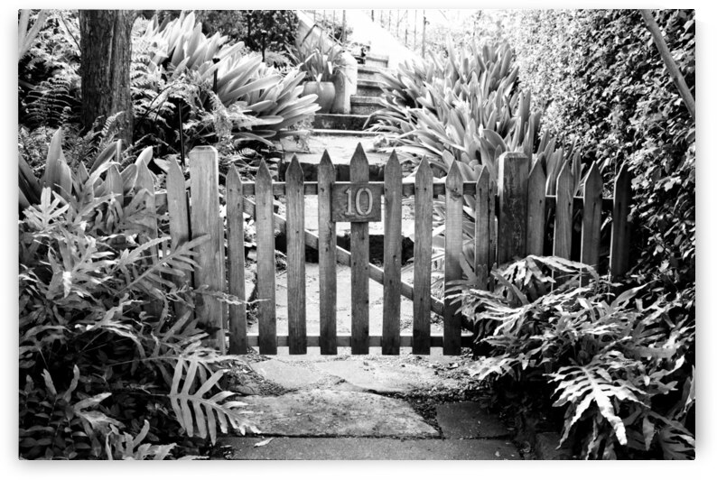 Number 10 by Bill Osuch