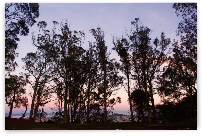 Sunset at Tank Hill I by Bill Osuch
