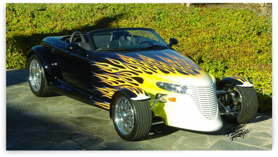 On The Prowl by Rikki Rocx Designs