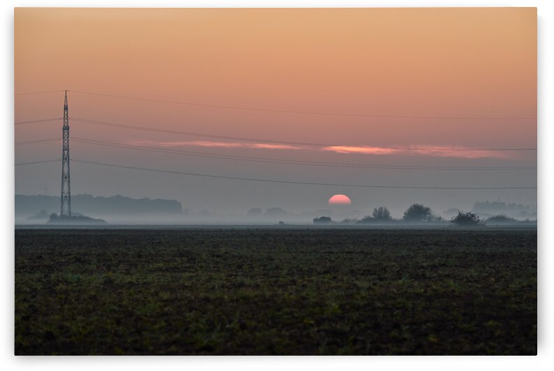 Power poles by Catalin Ene