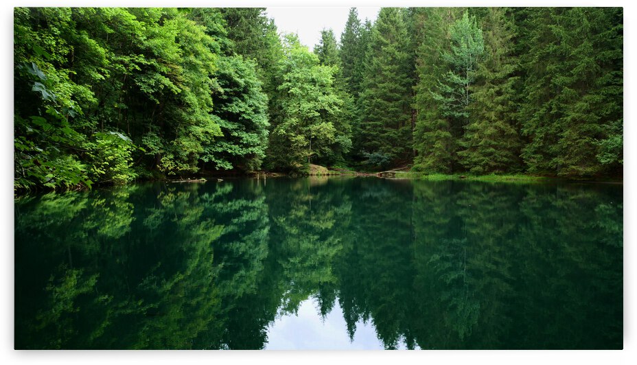 Forest lake by Cedric Doz